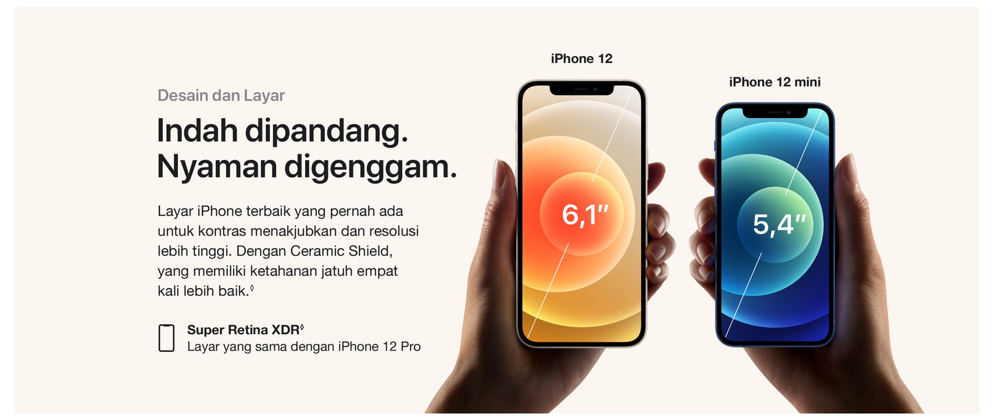 iPhone 12